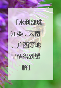 水利部珠江委：云南、广西等地旱情得到缓解