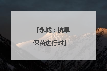 永城：抗旱保苗进行时