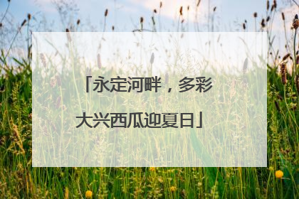永定河畔，多彩大兴西瓜迎夏日
