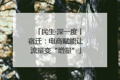 民生·深一度丨宿迁：电商赋能让流量变“增量”