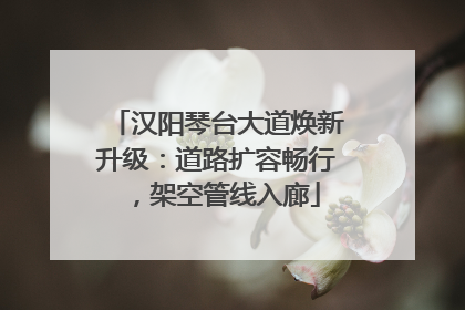 汉阳琴台大道焕新升级：道路扩容畅行，架空管线入廊