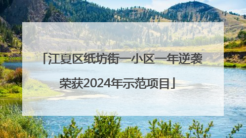 江夏区纸坊街一小区一年逆袭 荣获2024年示范项目