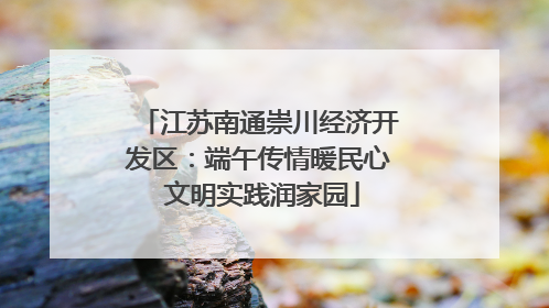 江苏南通崇川经济开发区：端午传情暖民心 文明实践润家园