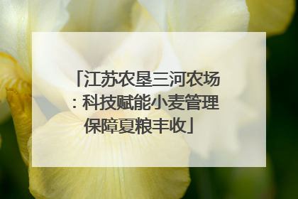 江苏农垦三河农场：科技赋能小麦管理保障夏粮丰收