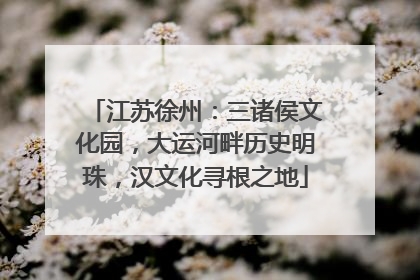 江苏徐州：三诸侯文化园，大运河畔历史明珠，汉文化寻根之地