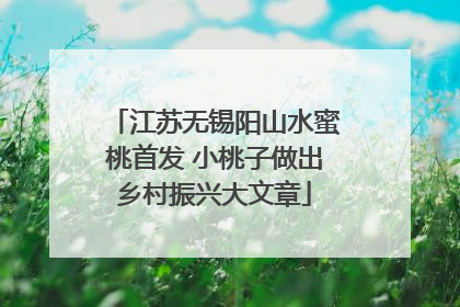 江苏无锡阳山水蜜桃首发 小桃子做出乡村振兴大文章