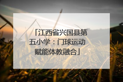 江西省兴国县第五小学：门球运动赋能体教融合