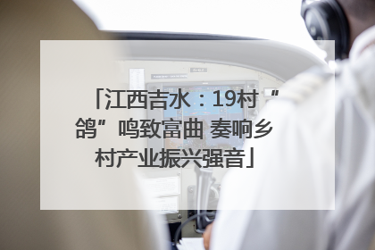 江西吉水：19村“鸽”鸣致富曲 奏响乡村产业振兴强音