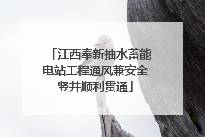 江西奉新抽水蓄能电站工程通风兼安全竖井顺利贯通
