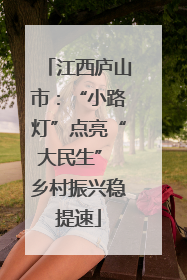 江西庐山市：“小路灯”点亮“大民生” 乡村振兴稳提速