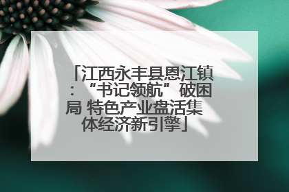 江西永丰县恩江镇：“书记领航”破困局 特色产业盘活集体经济新引擎