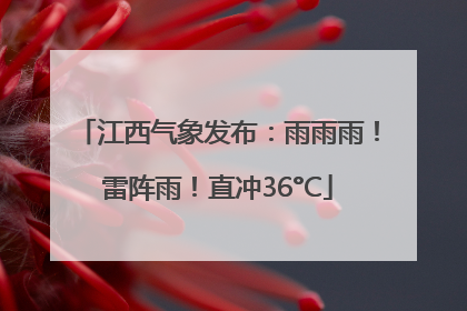 江西气象发布：雨雨雨！雷阵雨！直冲36°C