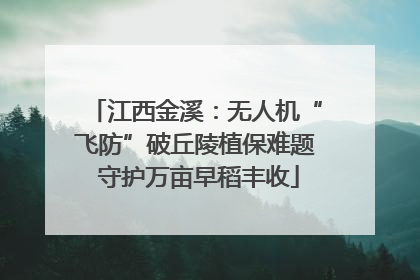 江西金溪：无人机“飞防”破丘陵植保难题 守护万亩早稻丰收