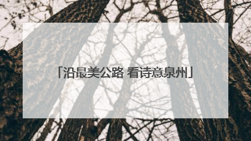 沿最美公路 看诗意泉州