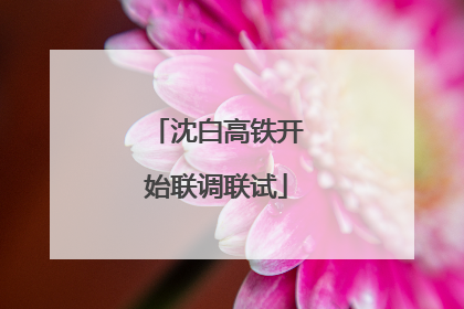 沈白高铁开始联调联试