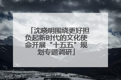 沈晓明围绕更好担负起新时代的文化使命开展“十五五”规划专题调研