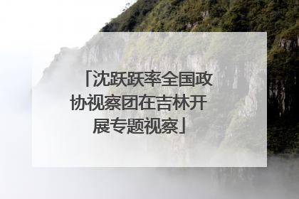 沈跃跃率全国政协视察团在吉林开展专题视察