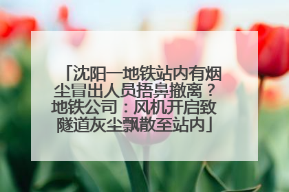 沈阳一地铁站内有烟尘冒出人员捂鼻撤离？地铁公司：风机开启致隧道灰尘飘散至站内