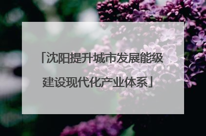 沈阳提升城市发展能级 建设现代化产业体系