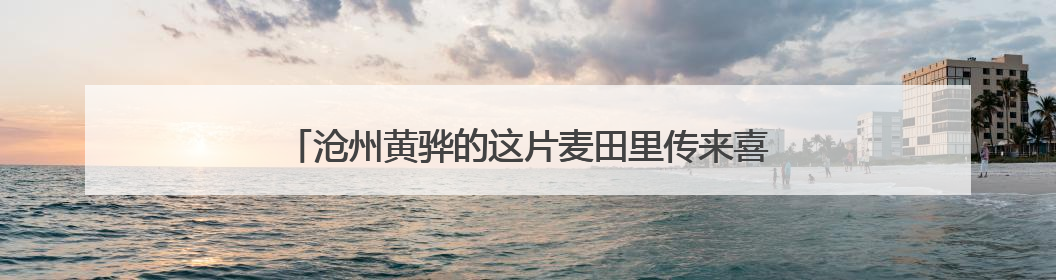 沧州黄骅的这片麦田里传来喜讯：一水未浇的旱碱麦丰收了