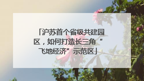 沪苏首个省级共建园区，如何打造长三角“飞地经济”示范区