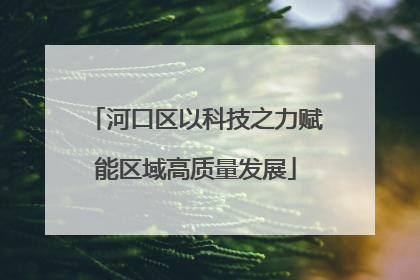 河口区以科技之力赋能区域高质量发展