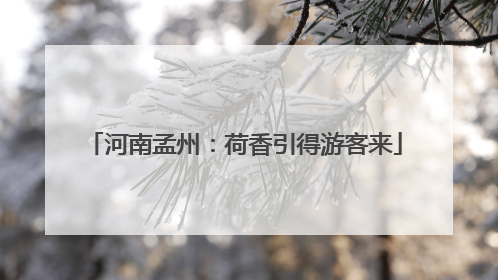 河南孟州：荷香引得游客来