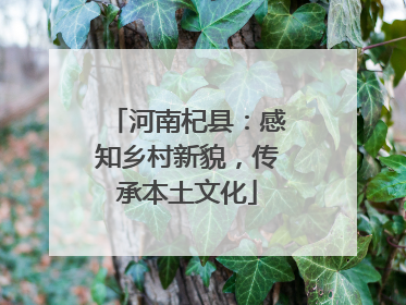 河南杞县：感知乡村新貌，传承本土文化