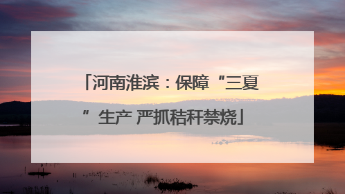 河南淮滨：保障“三夏”生产 严抓秸秆禁烧