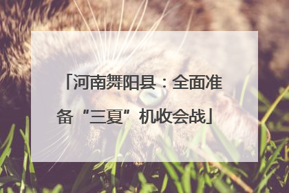 河南舞阳县：全面准备“三夏”机收会战