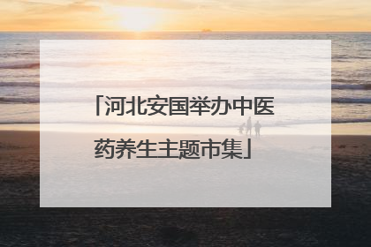 河北安国举办中医药养生主题市集