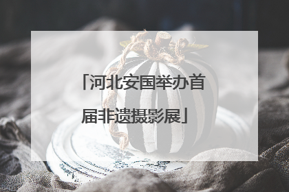 河北安国举办首届非遗摄影展