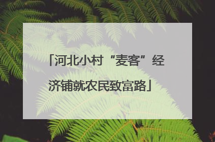 河北小村“麦客”经济铺就农民致富路