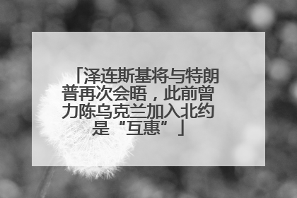 泽连斯基将与特朗普再次会晤，此前曾力陈乌克兰加入北约是“互惠”