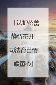 法护蓓蕾静待花开 司法育苗情暖童心