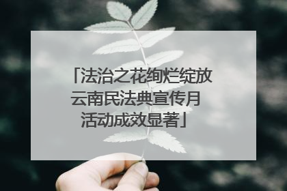 法治之花绚烂绽放 云南民法典宣传月活动成效显著