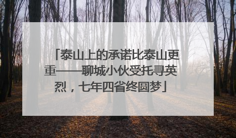 泰山上的承诺比泰山更重——聊城小伙受托寻英烈，七年四省终圆梦