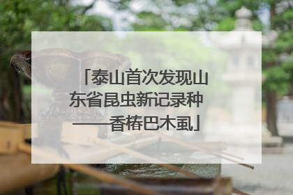 泰山首次发现山东省昆虫新记录种——香椿巴木虱