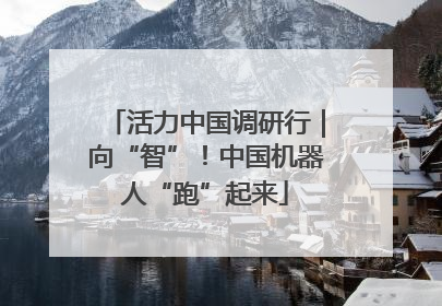 活力中国调研行｜向“智”！中国机器人“跑”起来