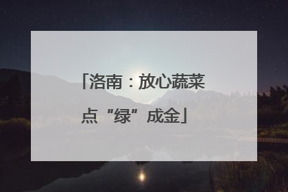 洛南：放心蔬菜点“绿”成金