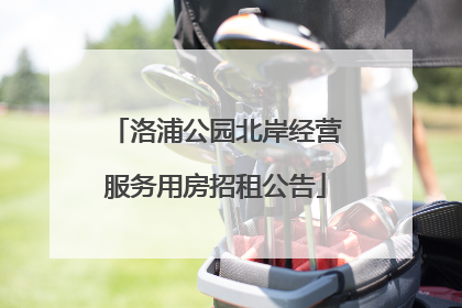 洛浦公园北岸经营服务用房招租公告