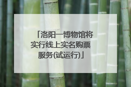 洛阳一博物馆将实行线上实名购票服务(试运行)