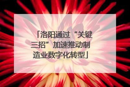洛阳通过“关键三招”加速推动制造业数字化转型