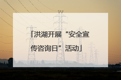 洪湖开展“安全宣传咨询日”活动