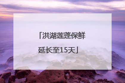 洪湖莲蓬保鲜延长至15天