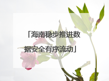 海南稳步推进数据安全有序流动