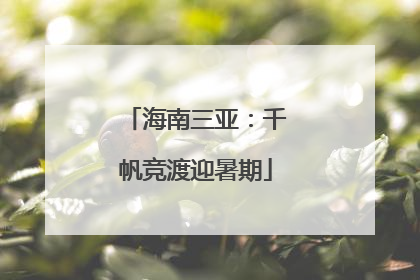 海南三亚：千帆竞渡迎暑期