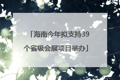海南今年拟支持39个省级会展项目举办