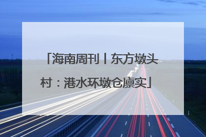 海南周刊丨东方墩头村：港水环墩仓廪实