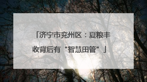 济宁市兖州区：夏粮丰收背后有“智慧田管”